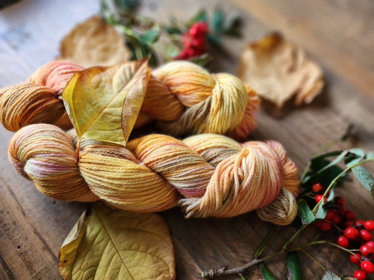 'Autumn Leaves' DK Merino Nylon 50g 110m